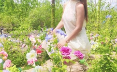 黑料热点事件吃瓜网曝在线